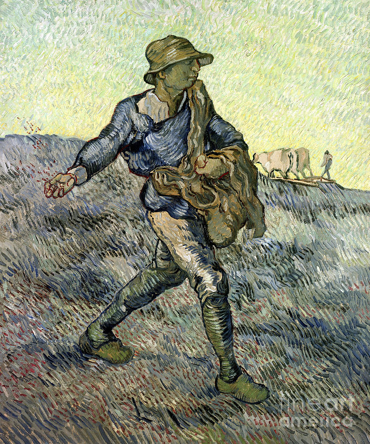 Vincent Van Gogh Painting - The Sower after Millet by Vincent Van Gogh