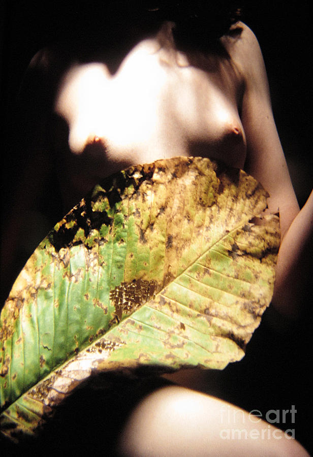 Fine Art Nude Photograph - The Trustworthy Mirror #1 by David Walker
