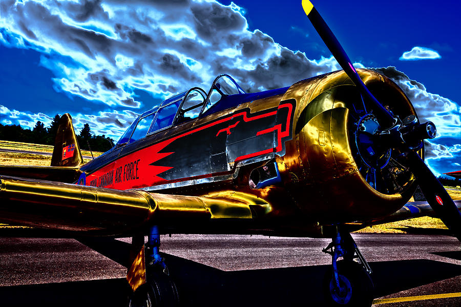 The Vintage North American T-6 Texan #2 Photograph by David Patterson