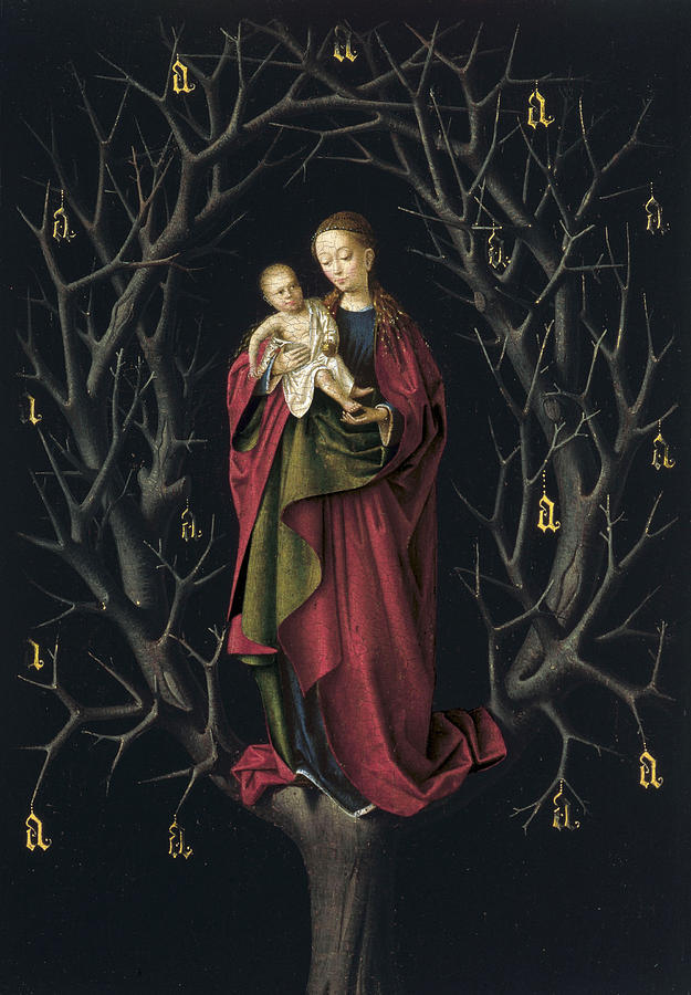 Madonna Painting - The Virgin of the dry Tree #1 by Petrus Christus