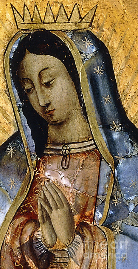 The Virgin of the Guadaloupe Painting by Mexican School