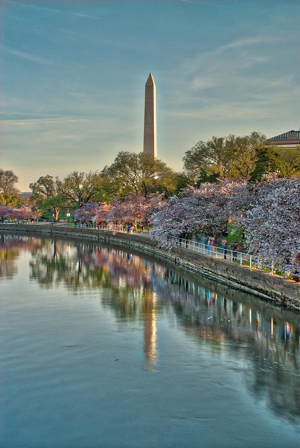 The Washington Monument and the Cherry Blossoms #1 Photograph by Mark Dodd