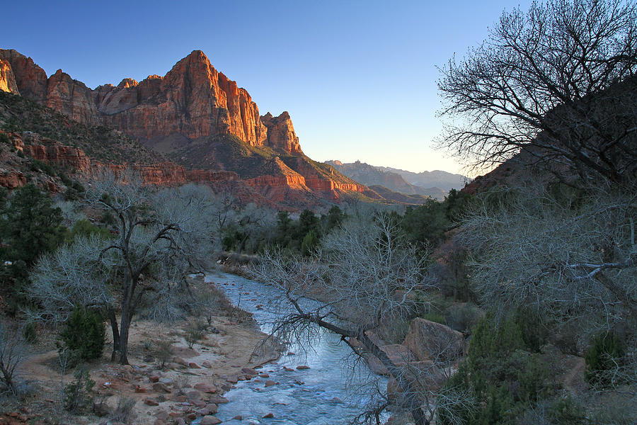 The Watchman #1 Photograph by Ed Riche