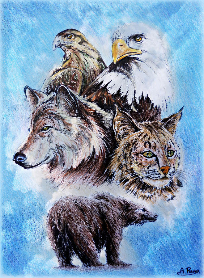 The Wildlife Collection #1 Drawing by Andrew Read