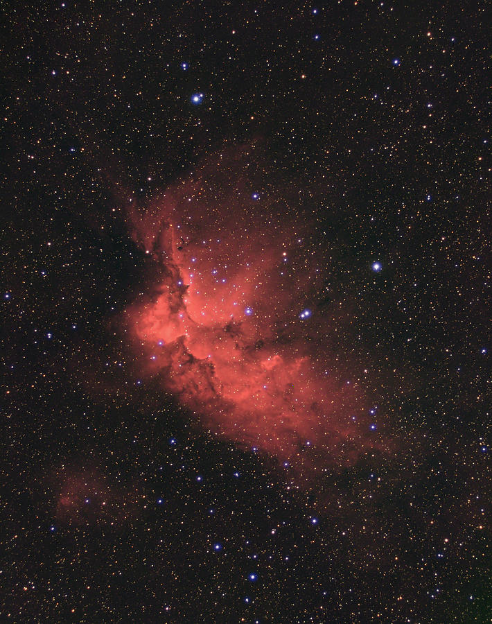 The Wizard Nebula #1 Photograph by David Watkins