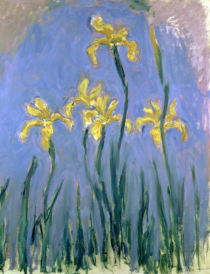 Claude Monet Painting - The Yellow Irises by Claude Monet