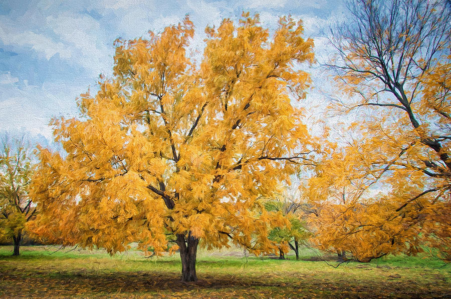 The Yellow Tree #1 Photograph by Victor Culpepper