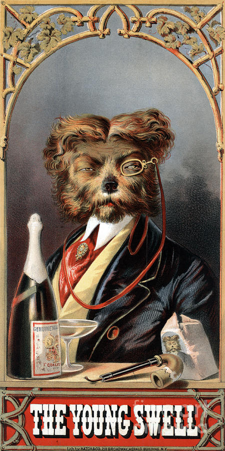 The Young Swell, Aristocratic Dog, 1869 #1 Photograph by Science Source