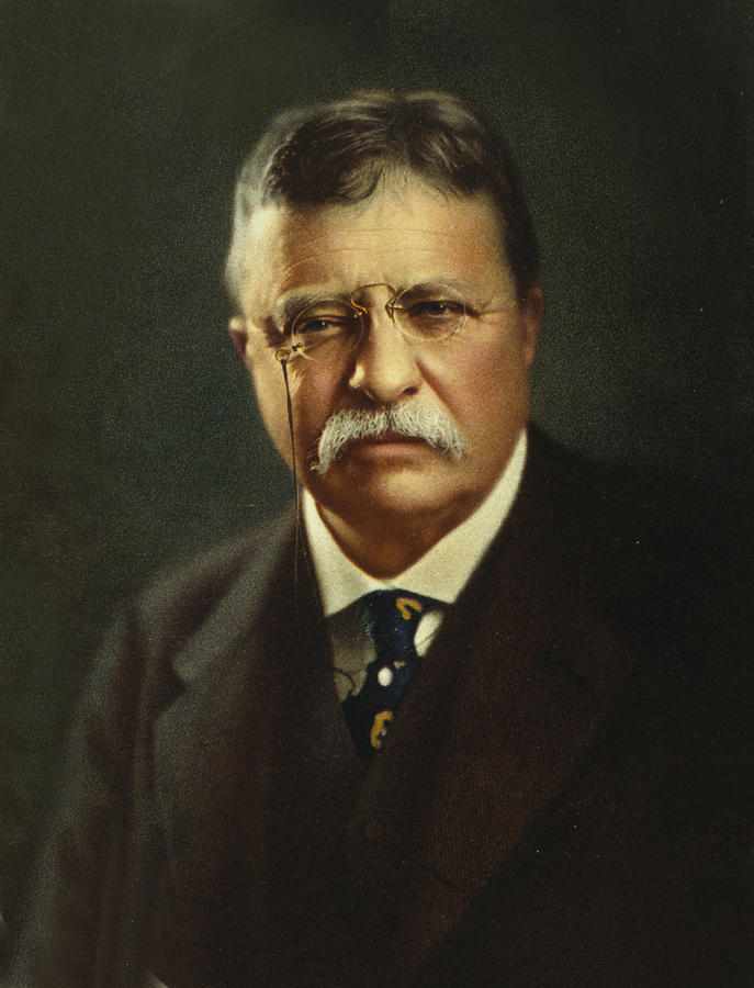 Vintage Photograph - Theodore Roosevelt - President of the United States #1 by International  Images