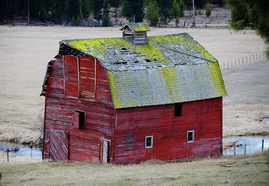 This Old Barn #1 Photograph by Whispering Peaks Photography