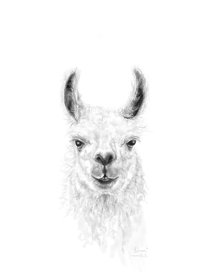 Llama Drawing - Thomas by Kristin Llamas
