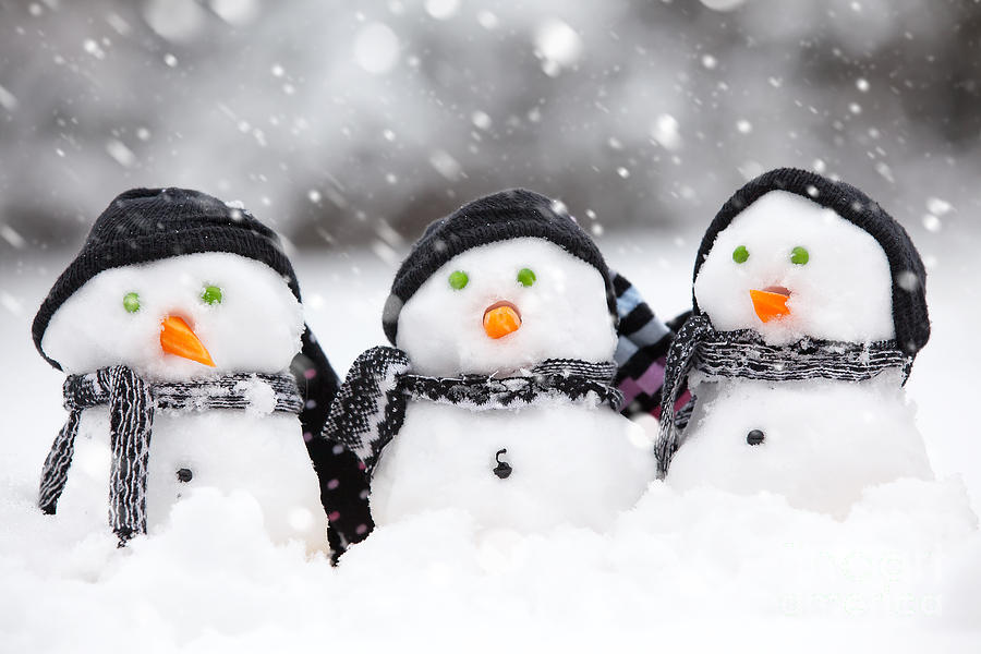 Three cute snowmen Photograph by Simon Bratt