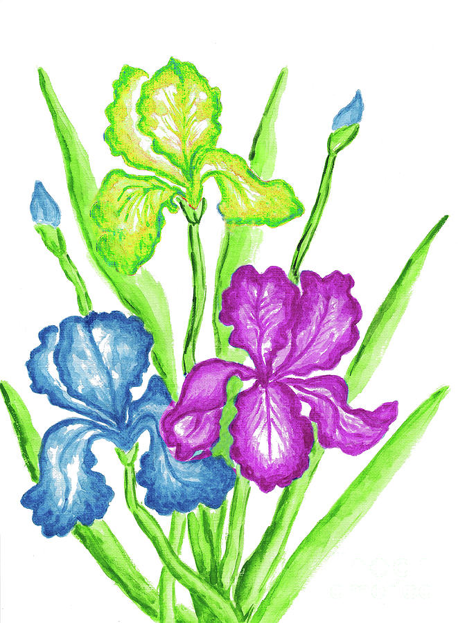 Three Irises #2 Painting by Irina Afonskaya