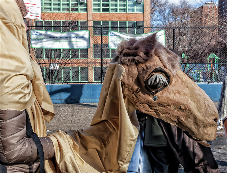 Three King Day Parade El Museo del Barrio 1_6_17 Camel Costume #1 Photograph by Robert Ullmann