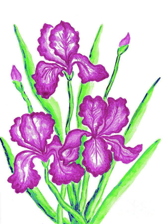Three pink irises Painting by Irina Afonskaya
