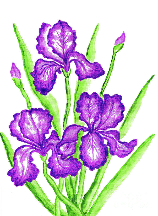 Three purple irises Painting by Irina Afonskaya