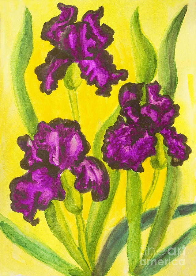 Three violet irises, watercolor #1 Painting by Irina Afonskaya