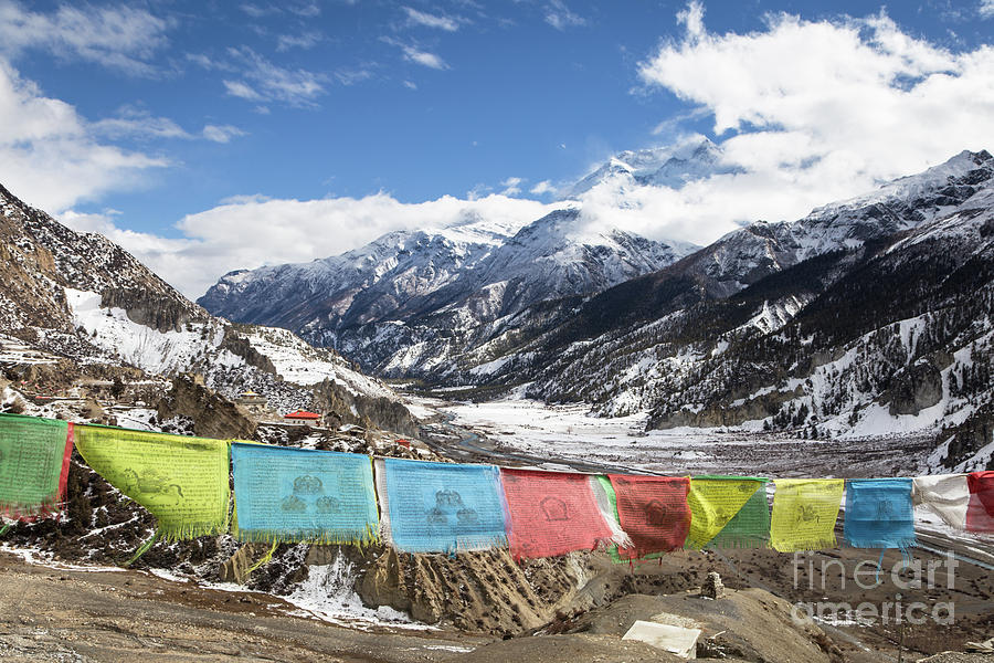 Tibetan Buddhism prayer flags in Nepal in the Annapurna range #1 Photograph by Didier Marti