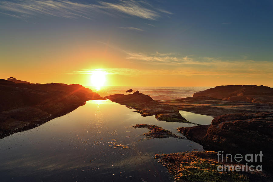 Sunset Photograph - Tidal Pools #2 by Beve Brown-Clark Photography