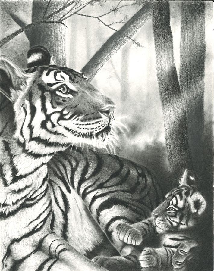 Tiger and Cub Drawing by Tashi Delek - Pixels