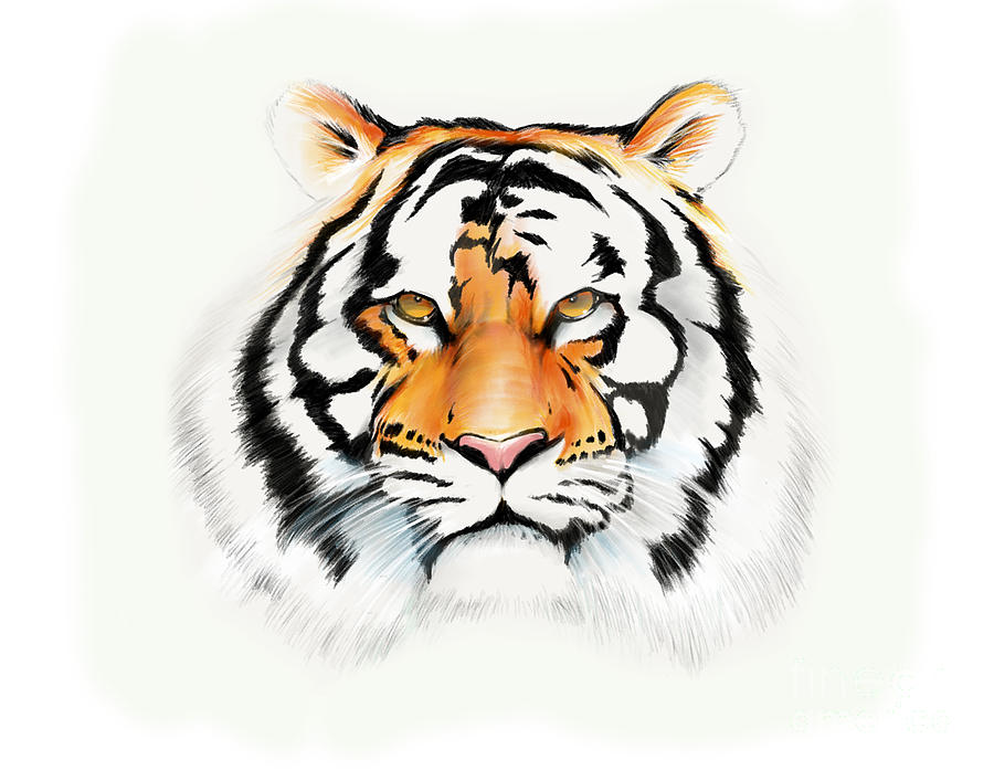 Tiger #2 Drawing by Brian Gibbs
