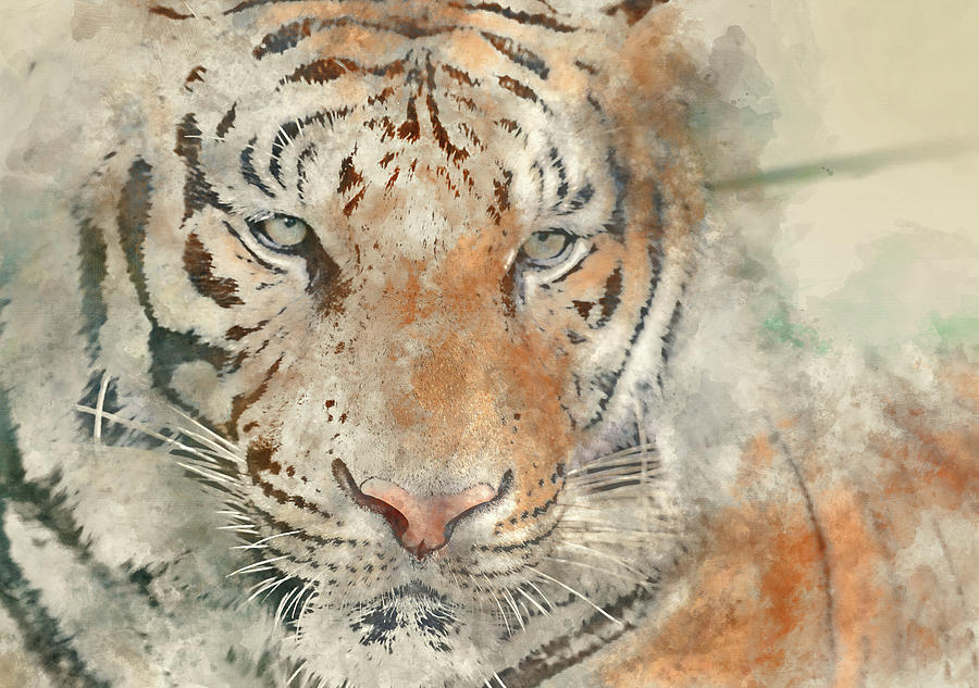 Tiger Close Up - Digital Art Watercolor #1 Photograph by Brandon Bourdages