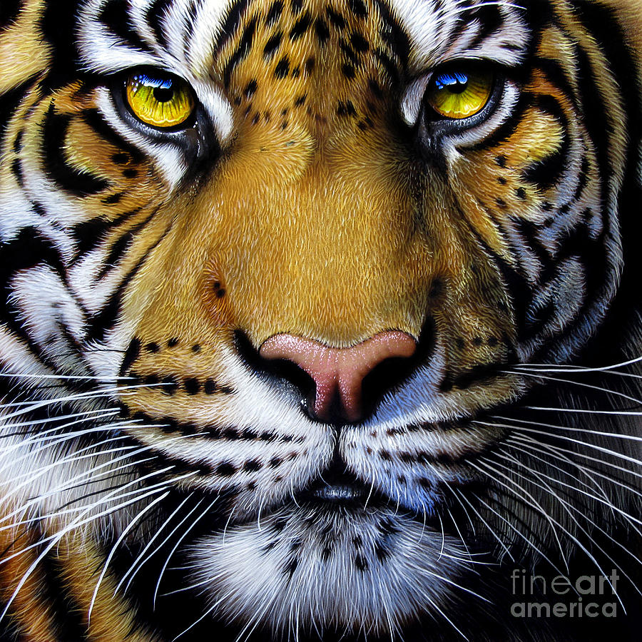 Tiger  #1 Painting by Jurek Zamoyski