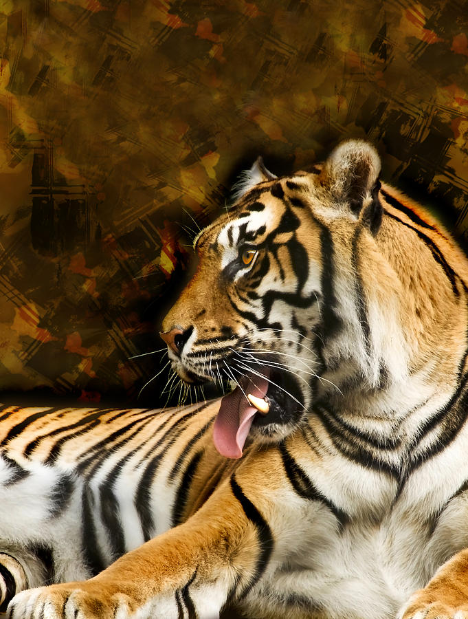 Animal Photograph - Tiger #1 by Svetlana Sewell