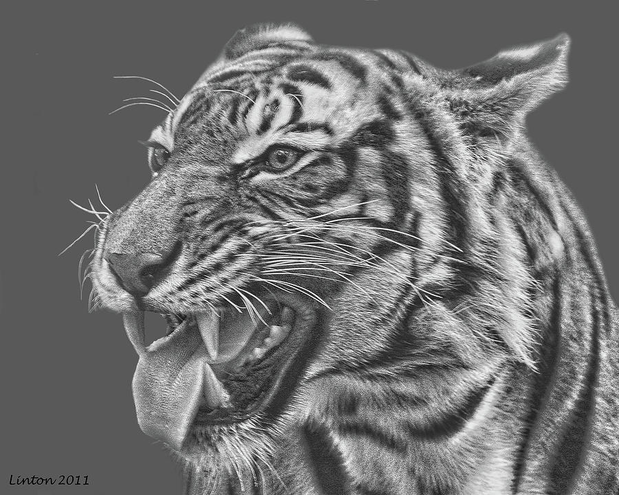 Tiger Teeth Digital Art by Larry Linton