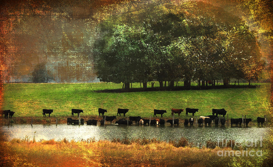 Till The Cows Come Home by Olivia Hardwicke Till The Cows Come Home by Olivia Hardwicke