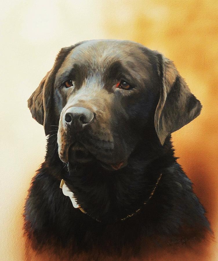 Labrador Retriever Painting - Tilly #1 by Julian Wheat