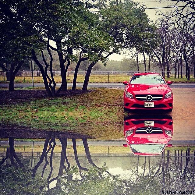 Nature Photograph - Time For #reflection. #mbfanphoto #1 by Austin Tuxedo Cat