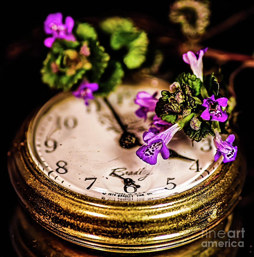 Time For Spring #1 Photograph by Gerald Kloss