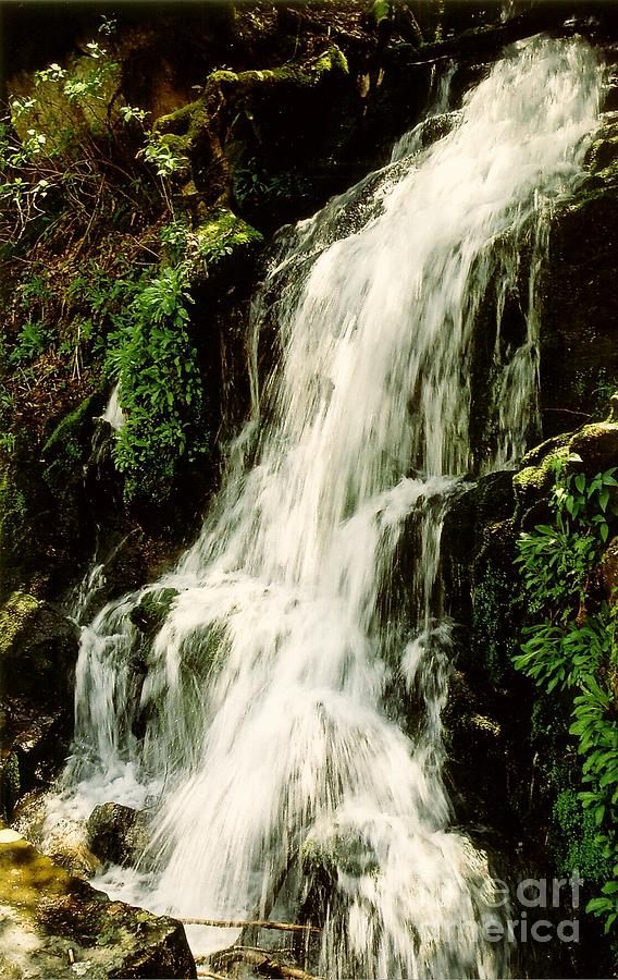 Tiny Falls #1 Photograph by Raymond Earley