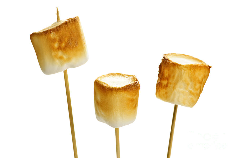 Toasted marshmallows 1 Photograph by Elena Elisseeva