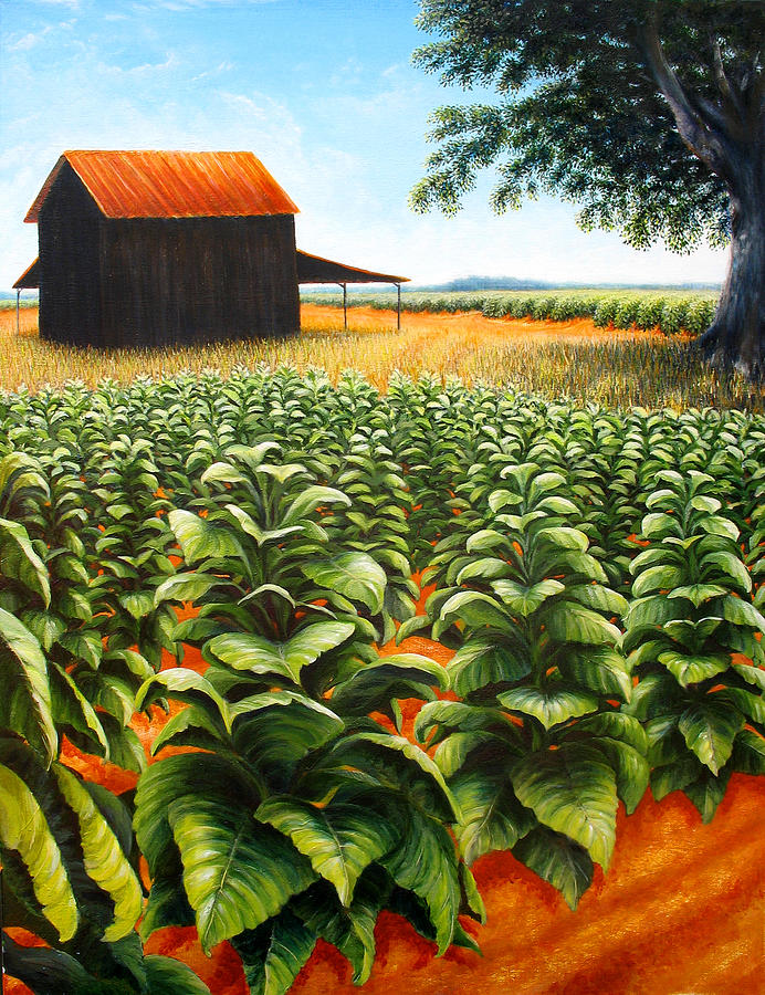 Landscape Painting - Tobacco Fields #1 by Duane Dorshimer