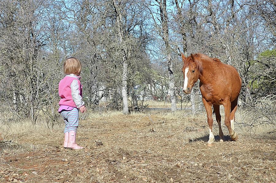 Toddler and Horse #1 Photograph by Maria Jansson