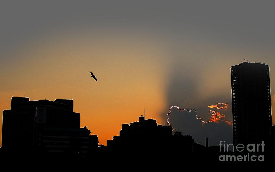 Tokyo Sunset #1 Photograph by Eena Bo