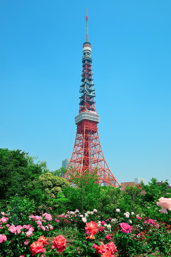Tokyo Tower #1 Photograph by Songquan Deng