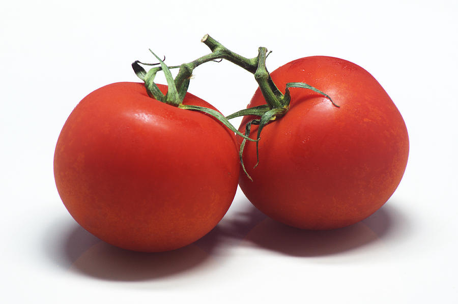Tomato Photograph - Tomatoes #1 by Chris Day
