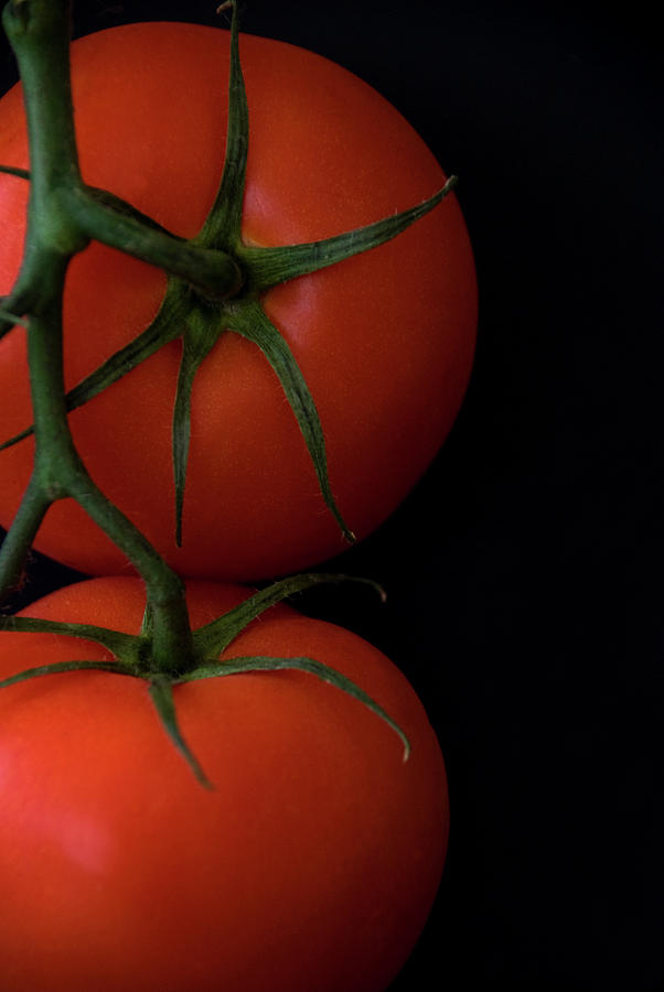 Tomatoes Photograph - Tomatoes by Jessica Wakefield Tomatoes Photograph - Tomatoes by Jessica Wakefield