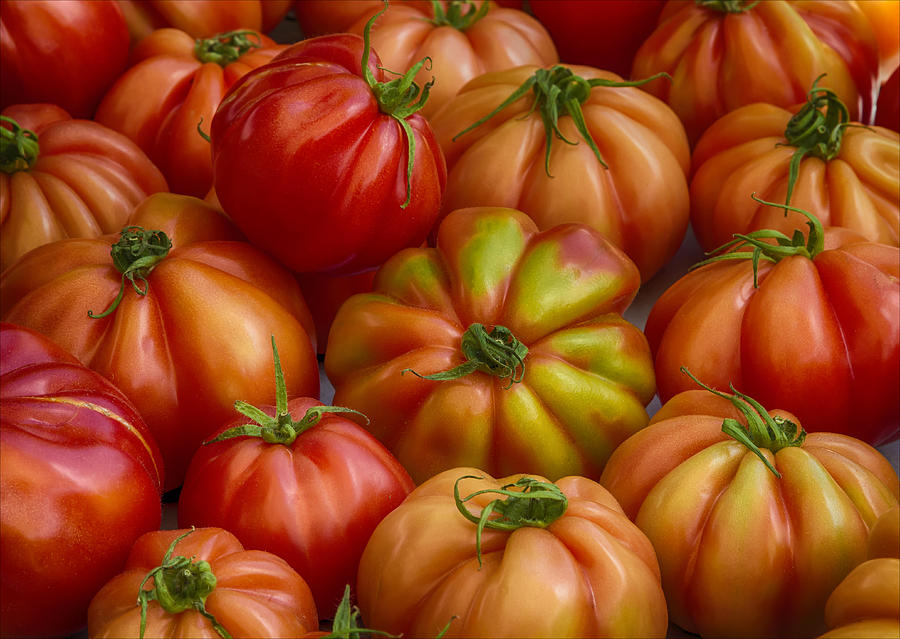 Tomatoes #1 Photograph by Robert Ullmann