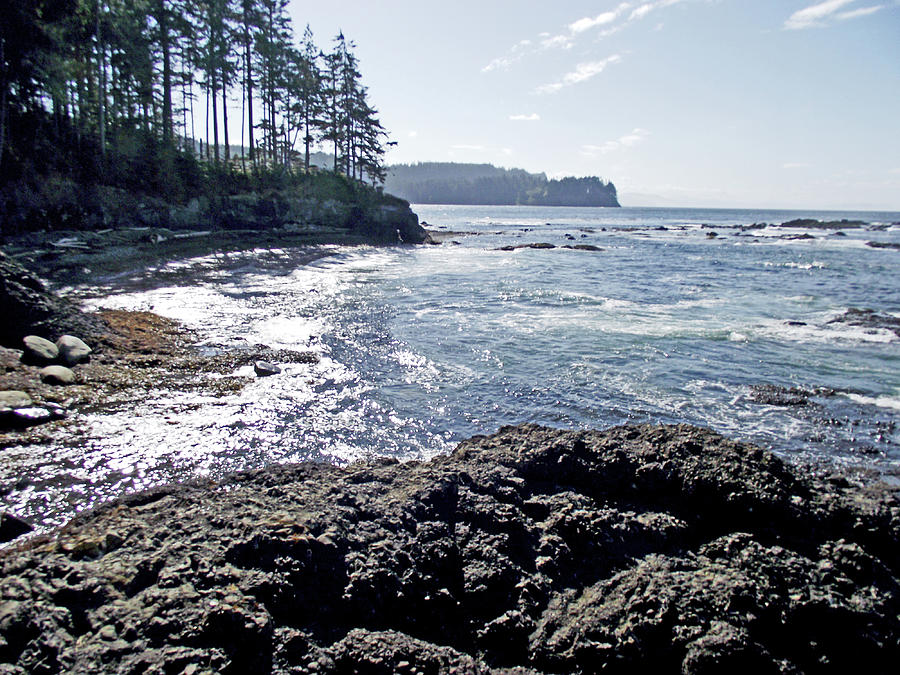 Tongue Point in Salt Creek Recreation Area on Olympic Peninsula, Washington #1 Photograph by Ruth Hager