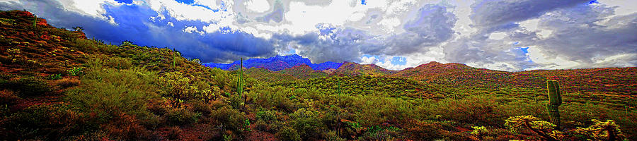 Tonto National Forest #1 Photograph by Roger Passman