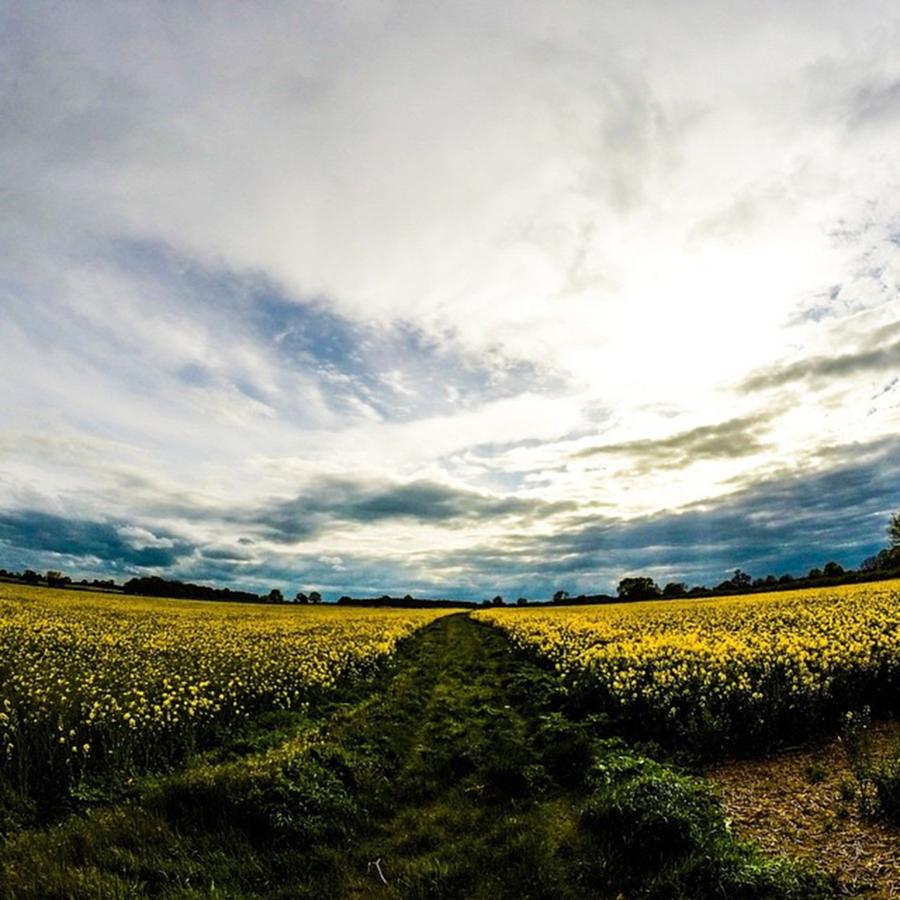 Nature Photograph - Took The @gopro #hero Out For A Spin #1 by Hard Light Photography