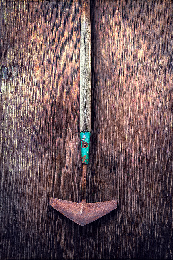 Tools On Wood 50 #1 Photograph by YoPedro