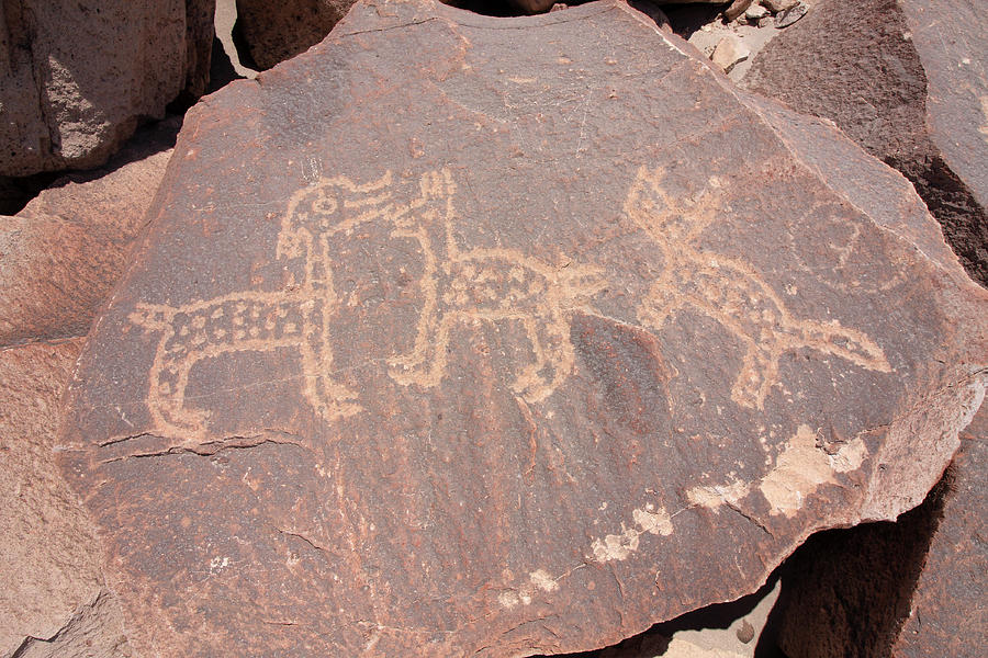 Toro Muerto Petroglyph 42 #1 Photograph by Aidan Moran
