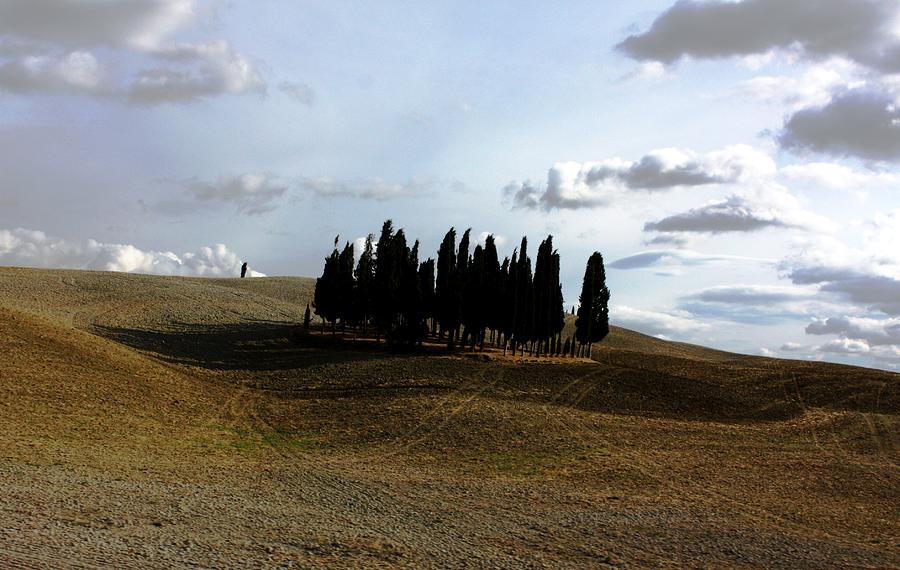 Toscana #1 Photograph by Pat Purdy