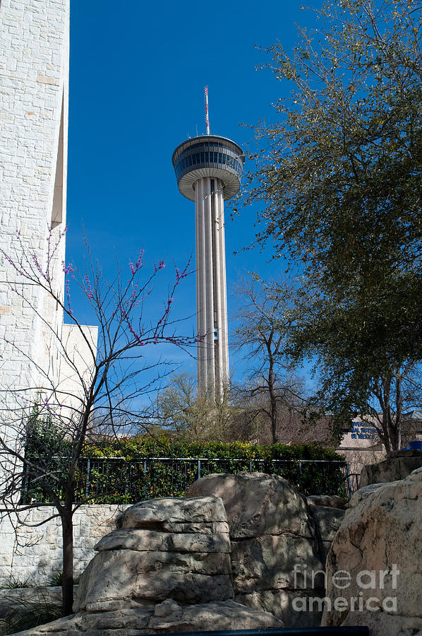 Tower of the Americas in San Antonio Texas #1 Photograph by Anthony Totah