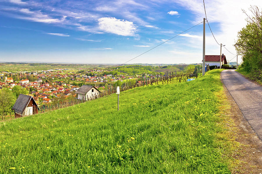 Town of Ivanec panorama from green hills #1 Photograph by Brch Photography